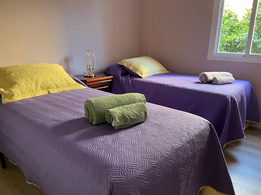 Triana Family Suites Севілья Екстер'єр фото